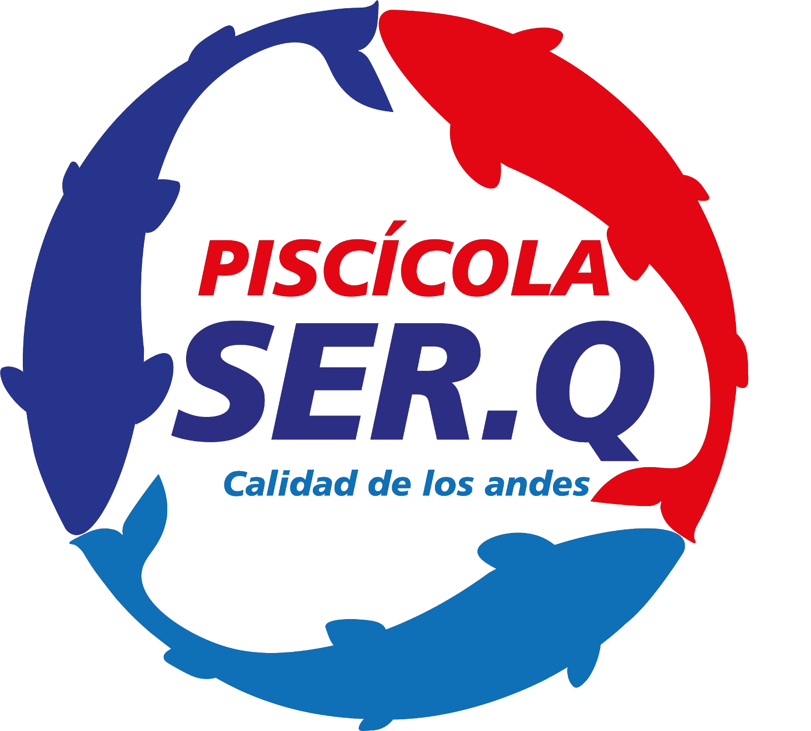 Grupo SER.Q Logo